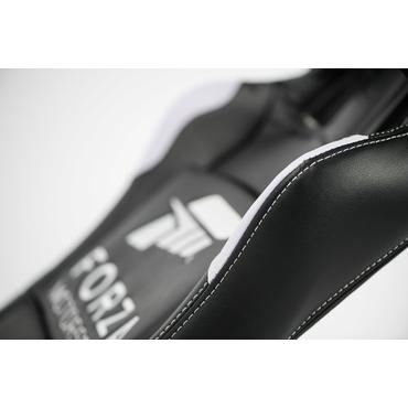 Playseat Forza Motorsport