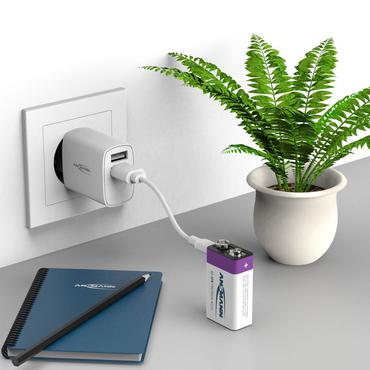 Ansmann 1315-0005 husholdningsbatteri Genopladeligt batteri 9V Lithium-Ion (Li-Ion)