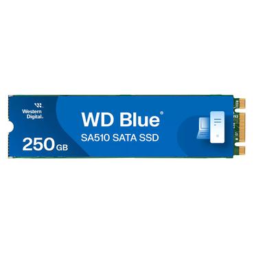 250GB BLUE SSD M.2 SA510 2280