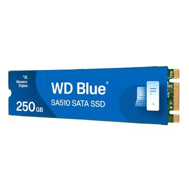 250GB BLUE SSD M.2 SA510 2280