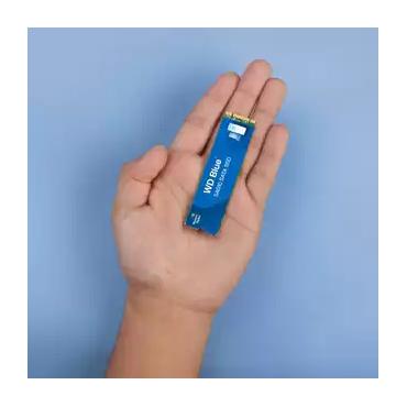 250GB BLUE SSD M.2 SA510 2280