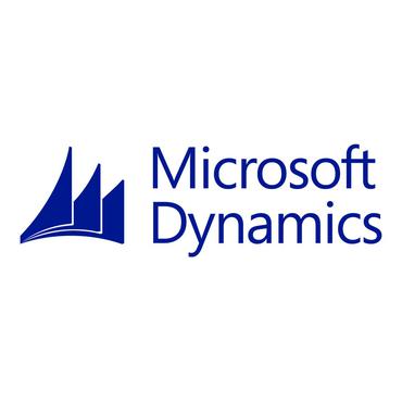 Microsoft Dynamics CRM Online Professional Direct - teknisk understøtning - 1 år