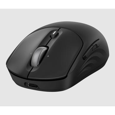 HP 700 Rechargeable Wireless Mouse (P)