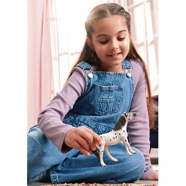 Horse Club Knabstrupper Wallach