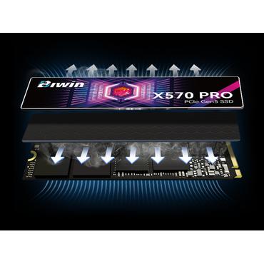 Biwin X570Pro 2 TB M.2 PCI Express 5.0 NVMe