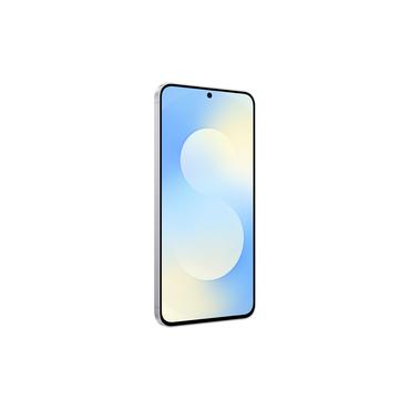 Samsung Galaxy S25 FE 17 cm (6.7") Dual SIM Android 16.0 5G USB Type-C 8 GB 256 GB 4900 mAh Blå