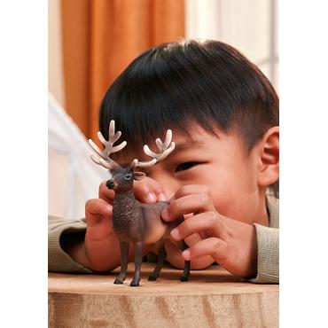 Wild Life Amerikanischer Rothirsch