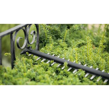 Bosch UniversalHedgeCut 18V-50 - h&auml;cksax - elektrisk - sladdl&ouml;s