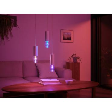 Hue Lightguide Edison ST72 E27 White and Color Ambiance