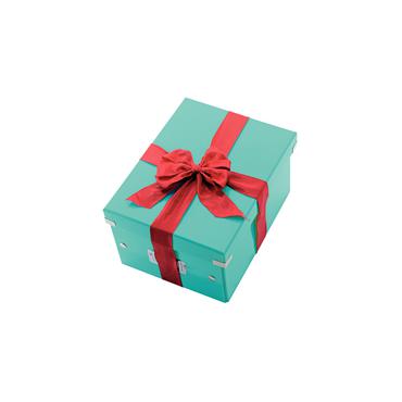 Leitz Click & Store WOW Medium opbevaringsboks, 85% recirkuleret karton