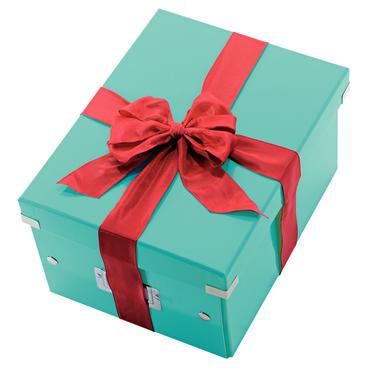 Leitz Click & Store WOW Medium opbevaringsboks, 85% recirkuleret karton