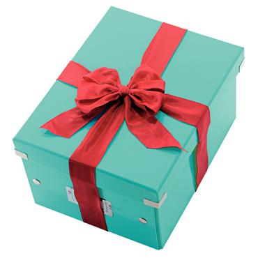 Leitz Click & Store WOW Medium opbevaringsboks, 85% recirkuleret karton