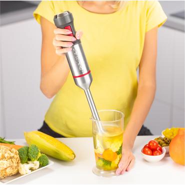 Zelmer ZHB4652 VARIO 0,5 L Nedsænkning blender 1400 W Grå, Sølv