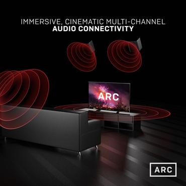 Lindy 36967 HDMI-kabel 10 m HDMI Type A (Standard) Sort, Gr&aring;