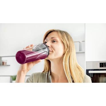 Bosch VitaPower MMB2111S blender 0,6 L Bordplade blender 450 W Sølv