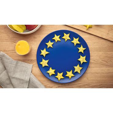 Bosch VitaPower MMB2111S blender 0,6 L Bordplade blender 450 W Sølv