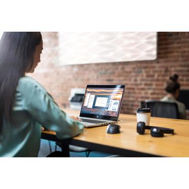 HP Fingerprint - mus - USB