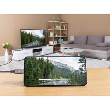 Manhattan 153591 videokabel adapter 1 m HDMI Type A (Standard) USB Type-C Sort, Gr&aring;