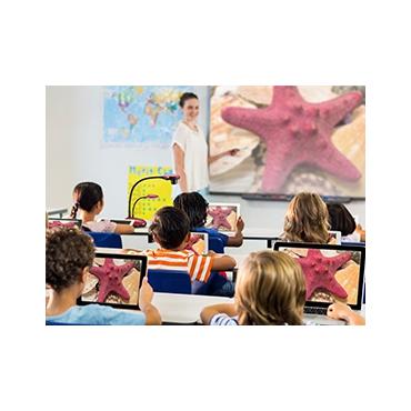 DC193 Ladibug Document Camera