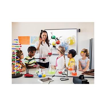 DC193 Ladibug Document Camera