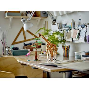 LEGO Creator 3in1 31150 - Vilda safari-djur - byggsats