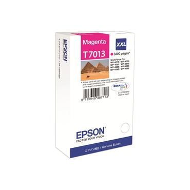 Epson T7013