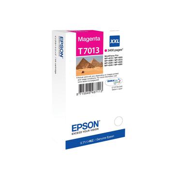 Epson T7013