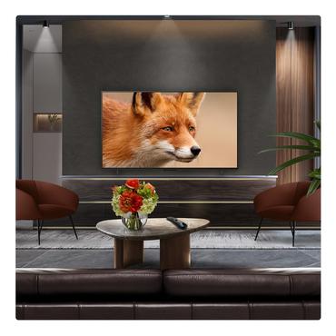 LG OLED evo AI 65" OLED EVO 4K TV OLED65C54 (2025)