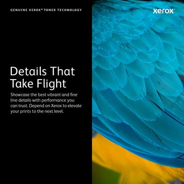 Xerox - Extra High Capacity - sort - original - tonerpatron - DMO