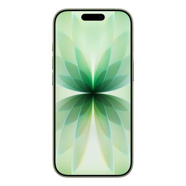 Apple iPhone 17 16 cm (6.3") Dual SIM iOS 26 5G USB Type-C 512 GB Salvie