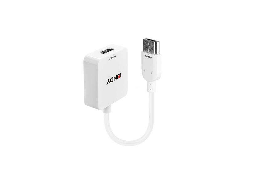Lindy 38146 videokabel adapter HDMI Type A (Standard) DisplayPort Hvid