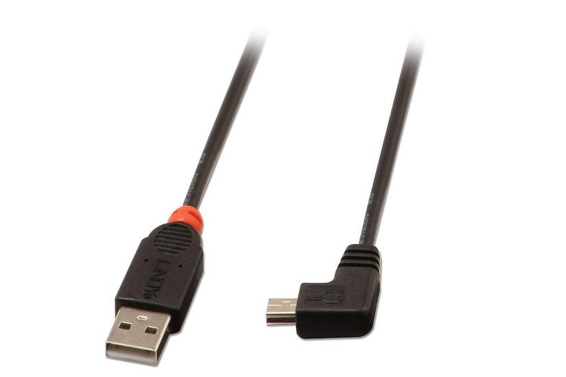 Lindy - USB-kabel - USB til mini-USB type B - 2 m