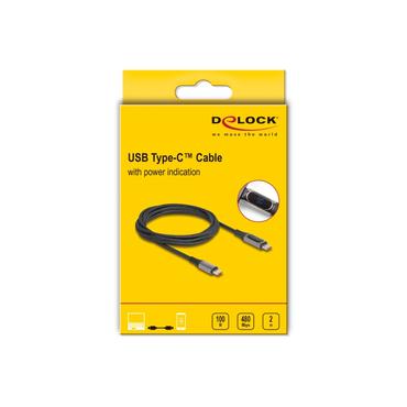 Delock USB 2.0 Cable USB Type-C™ male to male 100 W with power indication 2 m