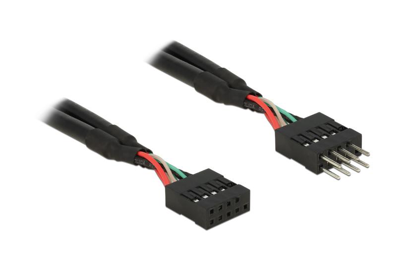 Delock USB 2.0 Pin Header - USB internt kabel - 10 pins USB-samlekasse til 10 pins USB-samlekasse - 10 cm