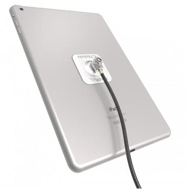 Compulocks Universal Tablet Lock with Keyed Cable Lock - s&auml;kerhetssats f&ouml;r mobiltelefon, surfplatta