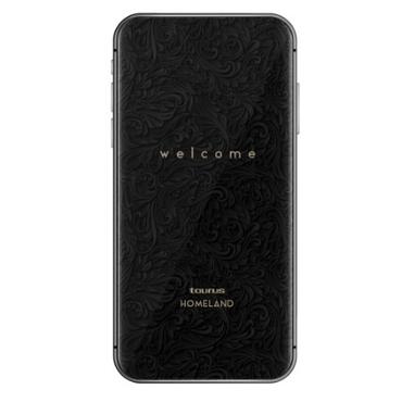 Taurus Homeland Laser 0,25 L Poseløs Sort, Rustfrit stål