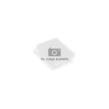 Intel Xeon Gold 6128