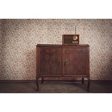 Adler AD 1171 radio Bærbar Brun