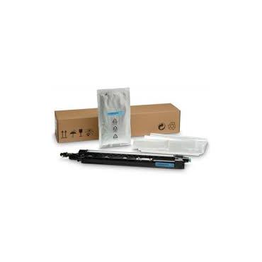 HP - cyan - developer