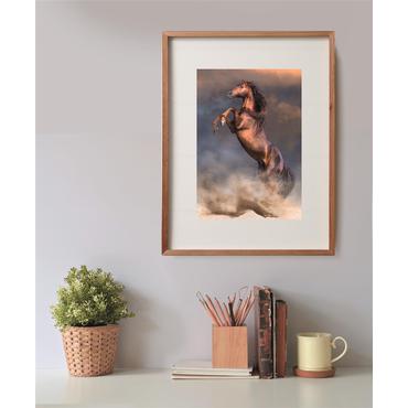 Clementoni 500 pcs CB HQC Wild Red Stallion