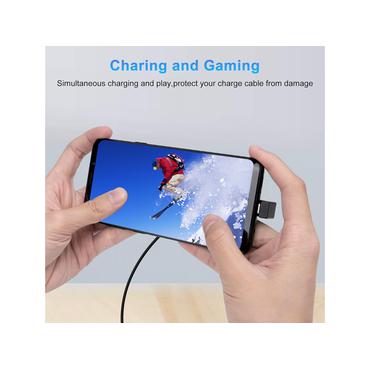 Equip Adapter USB-C -> USB-C  10Gbps, 100W PD, 2er-Pack   sw