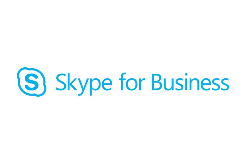 Skype for Business Server Enterprise CAL - licens- og softwareforsikring - 1 enhed CAL