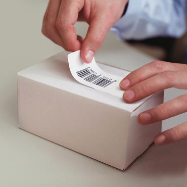 DYMO LabelWriter MultiPurpose - etiketter til flere formål - 500 etikette(r) - 19 x 51 mm