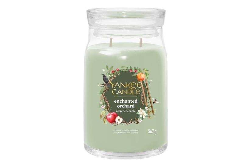 Yankee Candle 2653158E vokslys Rund Gr&oslash;n, Transparent 1 stk