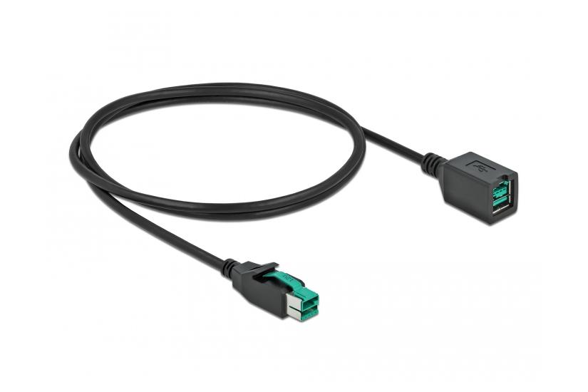 Delock - PoweredUSB extension cable - USB PlusPower (12 V) till USB PlusPower (12 V) - 1 m