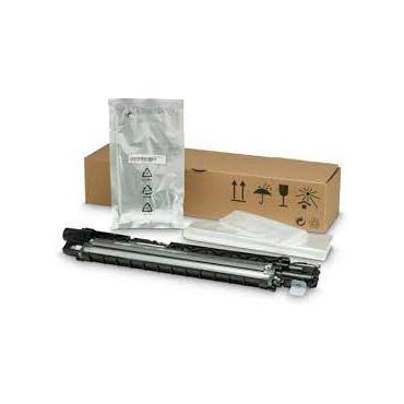 HP - cyan - original - developer