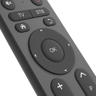 Hama 00221056 fjernbetjening IR trådløs TV Tryk på knapper