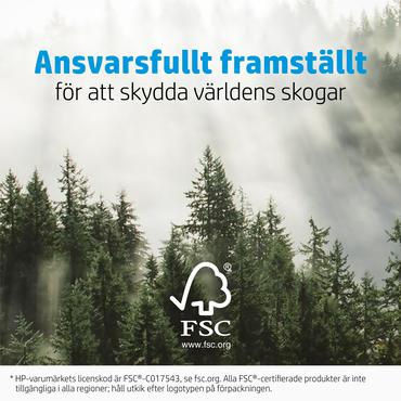 HP - fotopapper - matt - 25 ark - 100 x 150 mm - 180 g/m&sup2;