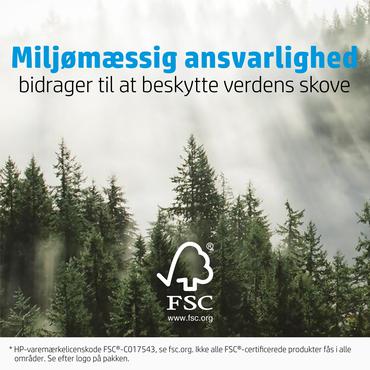 HP - fotopapper - matt - 25 ark - 100 x 150 mm - 180 g/m&sup2;