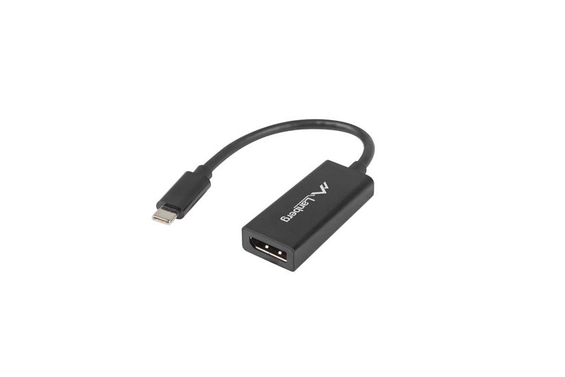 Lanberg adapter f&ouml;r video / ljud - DisplayPort / USB - 15 cm